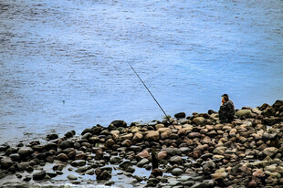 海边独钓者