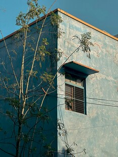 蓝色建筑旁的小树