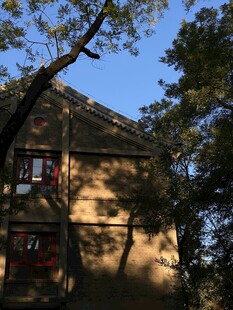 阳光下的林间小屋