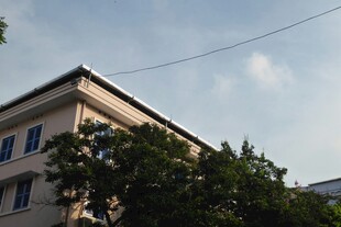 楼房旁绿树蓝天景象