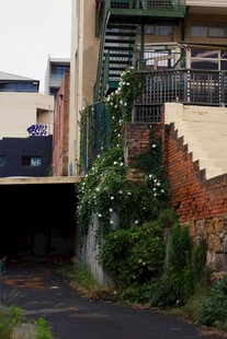 废弃建筑旁的绿植楼梯