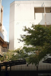 城市中绿树旁的白色建筑