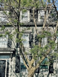 枝叶掩映下的古朴建筑