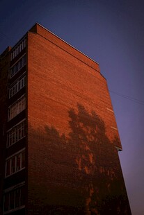夕阳下建筑与树影的景象