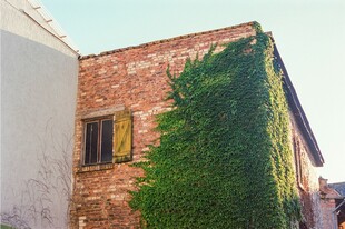 爬满绿植的古朴砖墙建筑