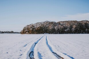 雪野中的车辙痕迹