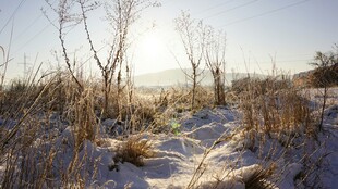 冬日积雪