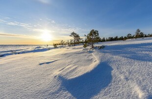 冬日雪野上的温暖阳光