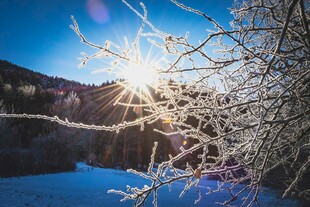 冬日暖阳下的冰雪美景