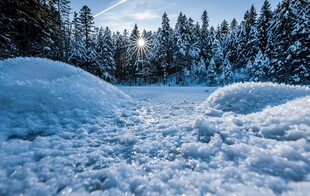 冬日雪林美景