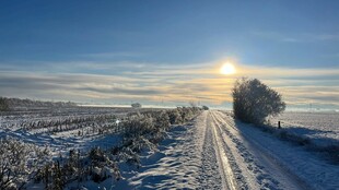 冬日雪路