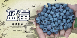 蓝莓