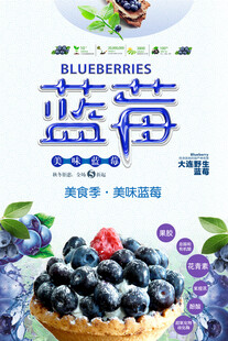 蓝莓