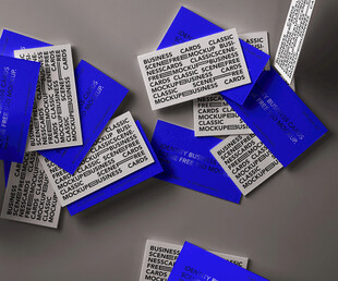 名片样机