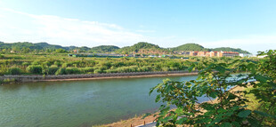 湖畔青山绿树风景如画