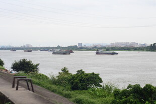 江边景致