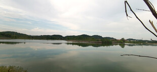 宁静湖畔风光