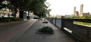 城市河畔的静谧道路
