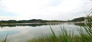 宁静湖畔风光 