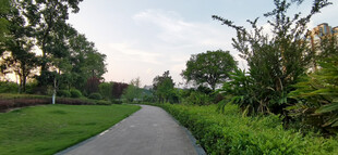 公园步道