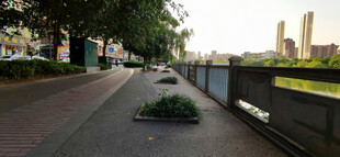 城市街边公园步道绿植景观