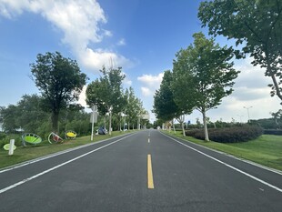 宽阔公路旁绿树成荫