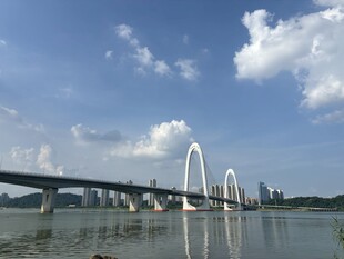 城市跨江大桥风景