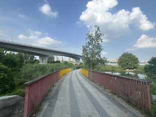 乡村公路与高架桥景观