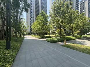 城市林荫步道景观