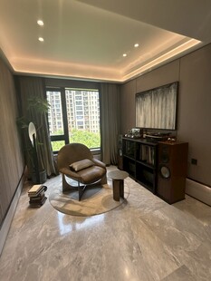 现代简约风格的精致客厅