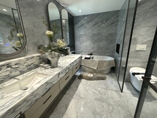 现代简约风豪华浴室空间