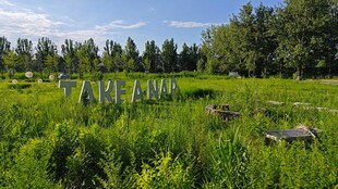 田野中的蜂箱与绿植景观