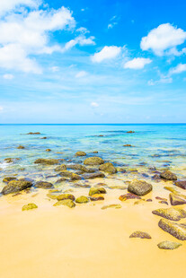 金色沙滩与蔚蓝大海美景