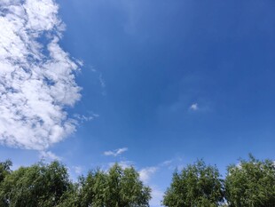 蓝天绿树美景