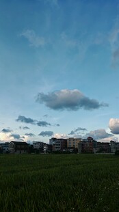 田野上的蓝天与远处建筑