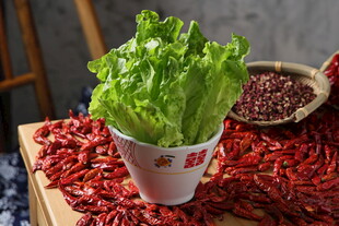 生菜