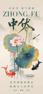 中式三伏天荷花锦鲤插画