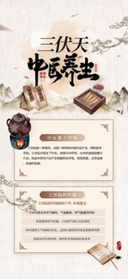 三伏天中医养生宣传海报