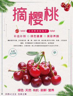 樱桃海报