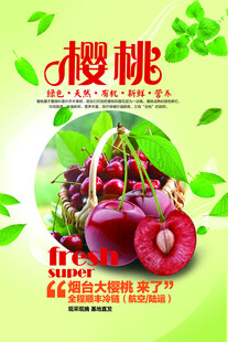 樱桃海报
