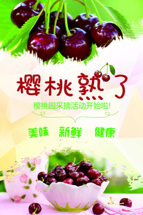 樱桃海报