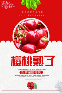 樱桃海报