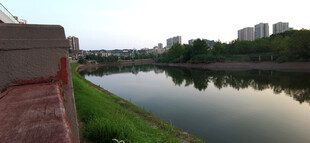 河畔风光