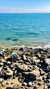 海边嶙峋礁石