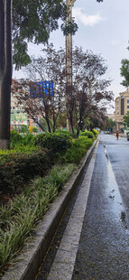 雨后城市中的湿润道路