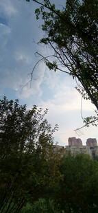 城郊绿植间的城市天际线