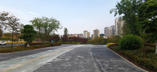 远处延伸的公路与两旁的绿植