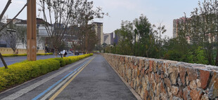 城市中石砌围墙旁的道路