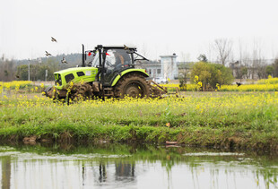 田野中作业的绿色拖拉机