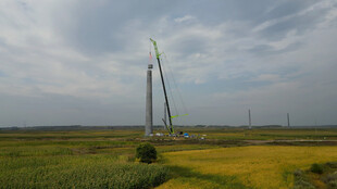 田野中的风力发电机组